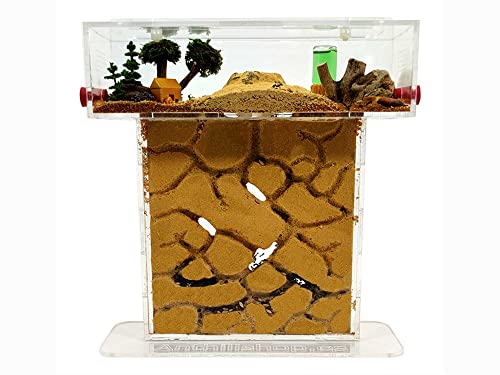 Natürliche Ameisenfarm aus Sand - Acryl T Kit...